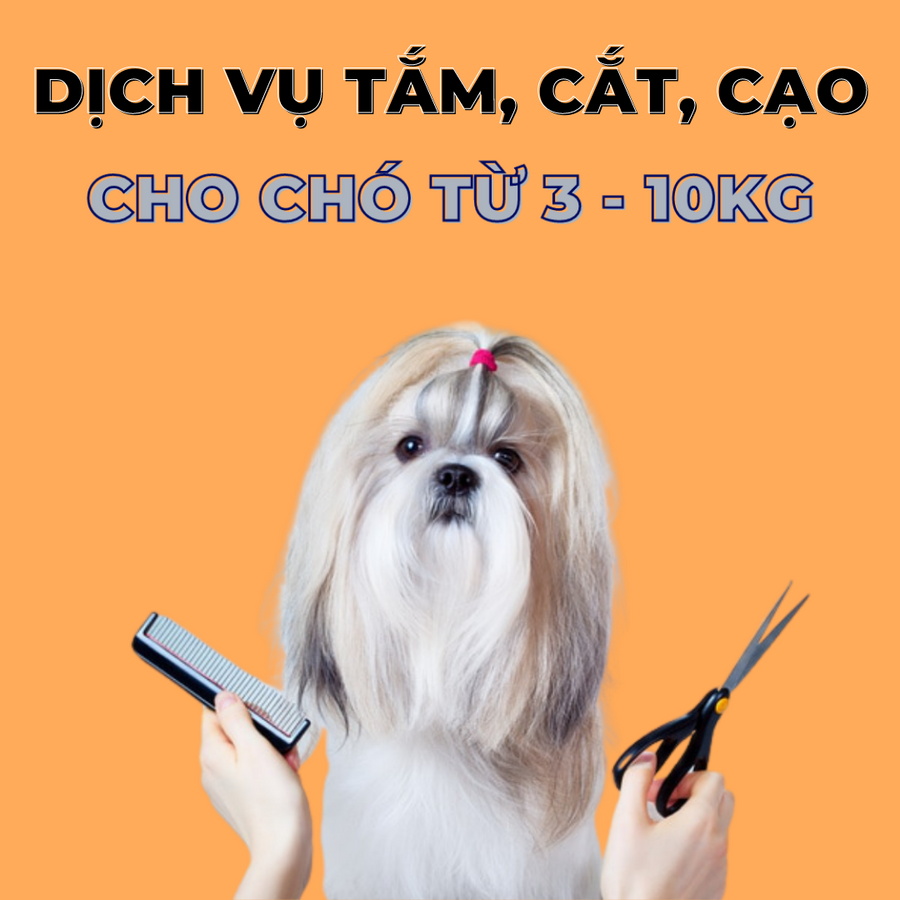 Voucher Dịch Vụ Tắm Cắt Cạo Lông Cho Chó Từ 3kg Tới 10kg