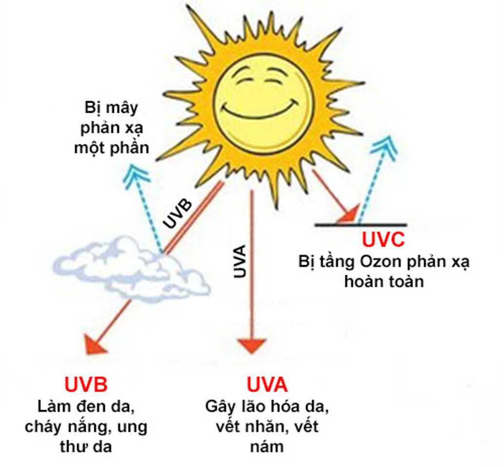 Các tia UV là nguyên nhân gây sạm da, đen da và hiện tượng lão hóa da sớm