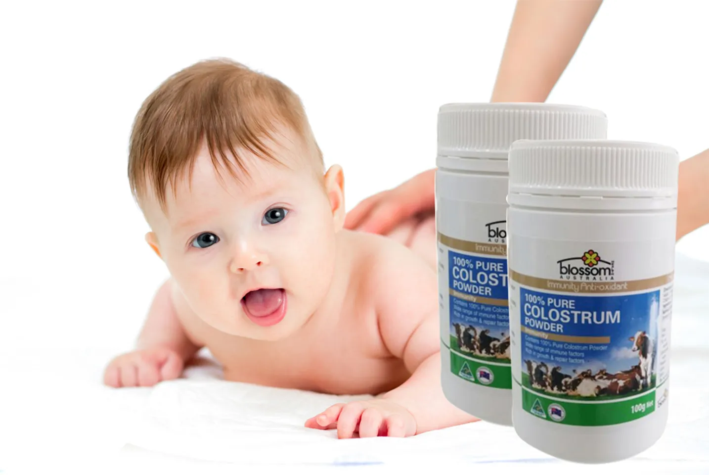 Sữa non Blossom Colostrum Powder 100% Pure giàu kháng thể giúp tăng cường và duy trì hệ thống miễn dịch