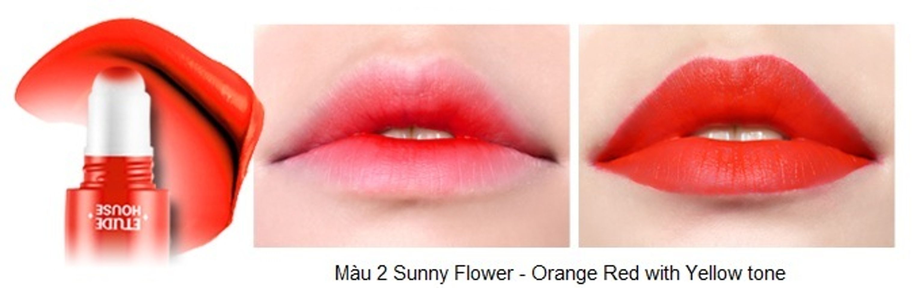 Rosy Tint Lips – Son kem Etude House lên màu cực chuẩn 3