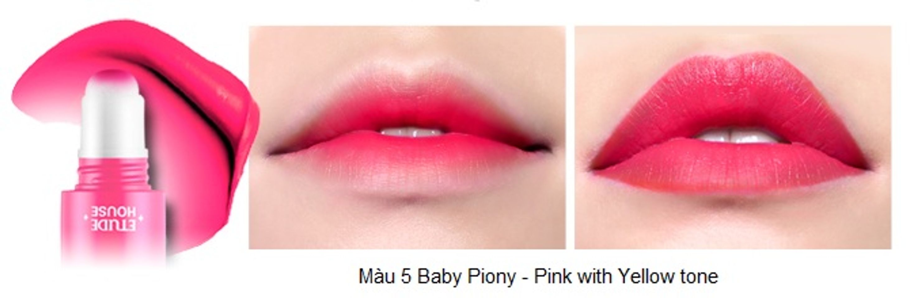 Rosy Tint Lips – Son kem Etude House lên màu cực chuẩn 6