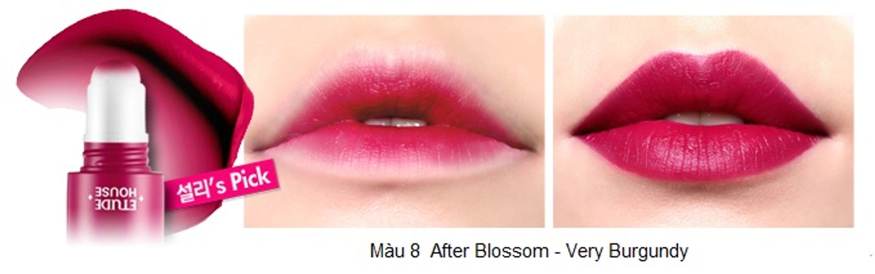 Rosy Tint Lips – Son kem Etude House lên màu cực chuẩn 9