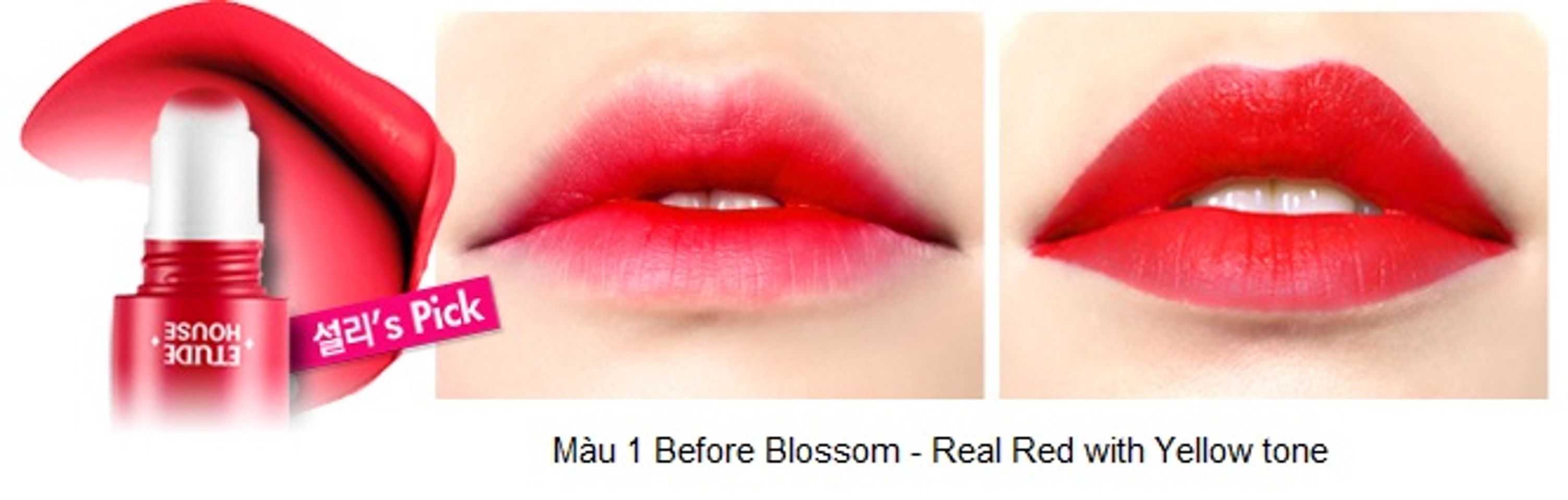 Rosy Tint Lips – Son kem Etude House lên màu cực chuẩn 2