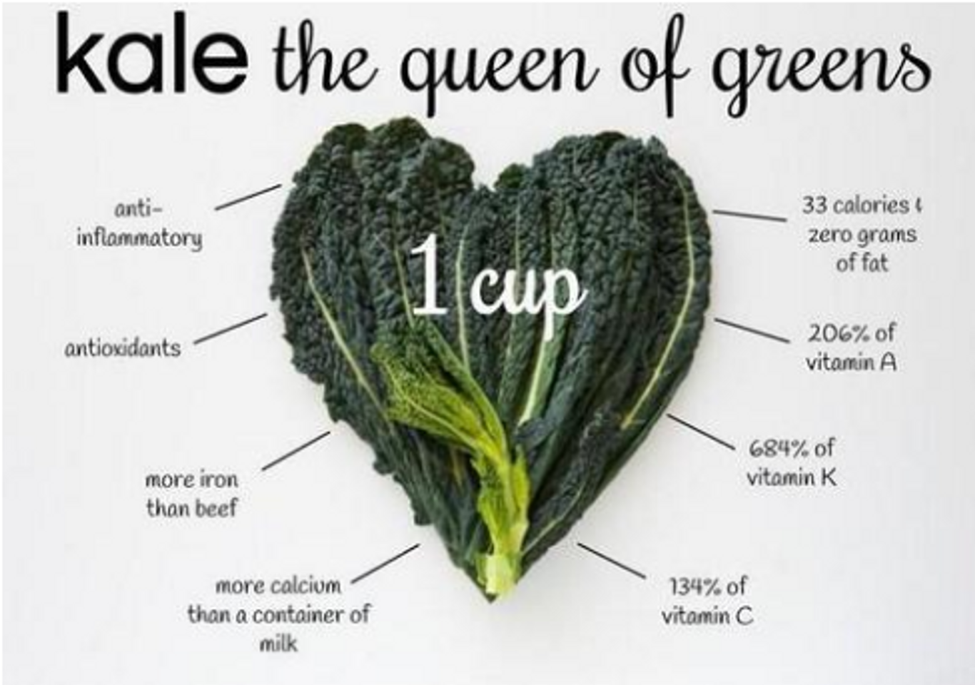 Bột cải xoăn Super Kale chứa nhiều chất dinh dưỡng, vitamin và các chất khoáng rất tốt cho sức khỏe của bạn