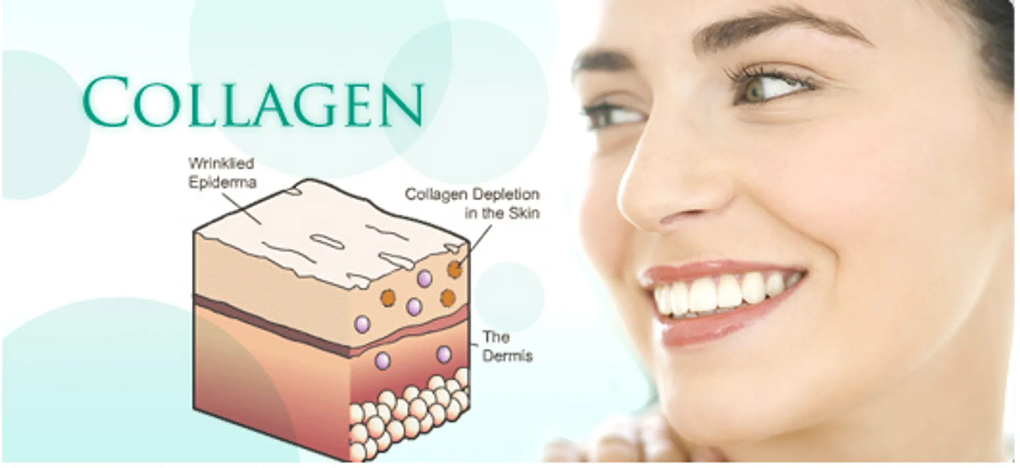 Công dụng của The Collagen Shiseido sữa ong chúa hỗ trợ dung lượng cao Collagen, HA & Gaba hùn tăng mạnh sức mạnh cho tới làn da