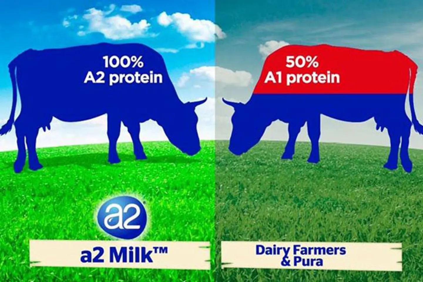  Sữa nguyên kem dạng bột A2 Úc