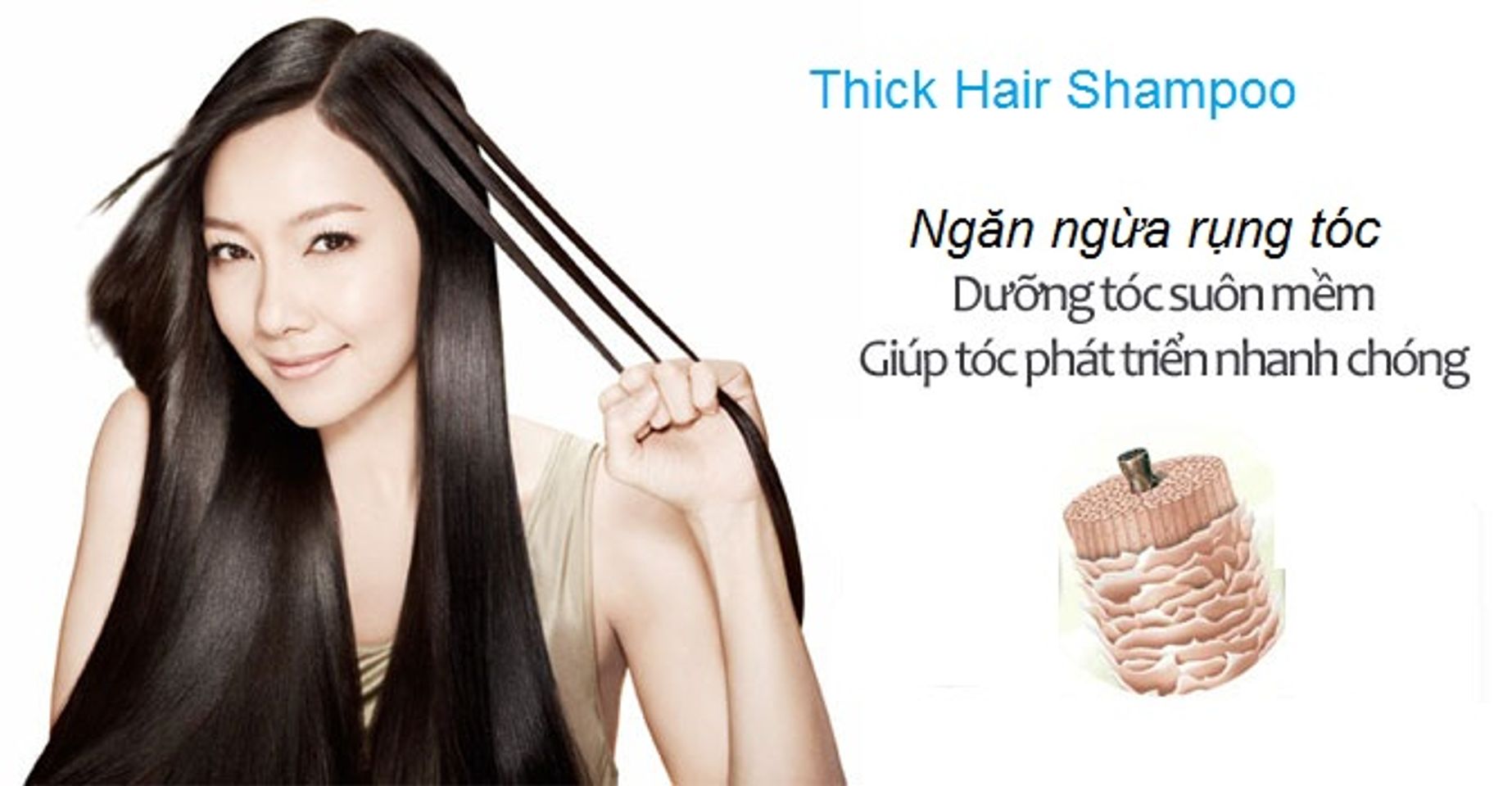 Dầu gội chống rụng tóc Thick Hair giúp loại bỏ hiệu quả các bã nhờn trên da đầu, đồng thời kích thích các tế bào tóc phát triển nhanh hơn