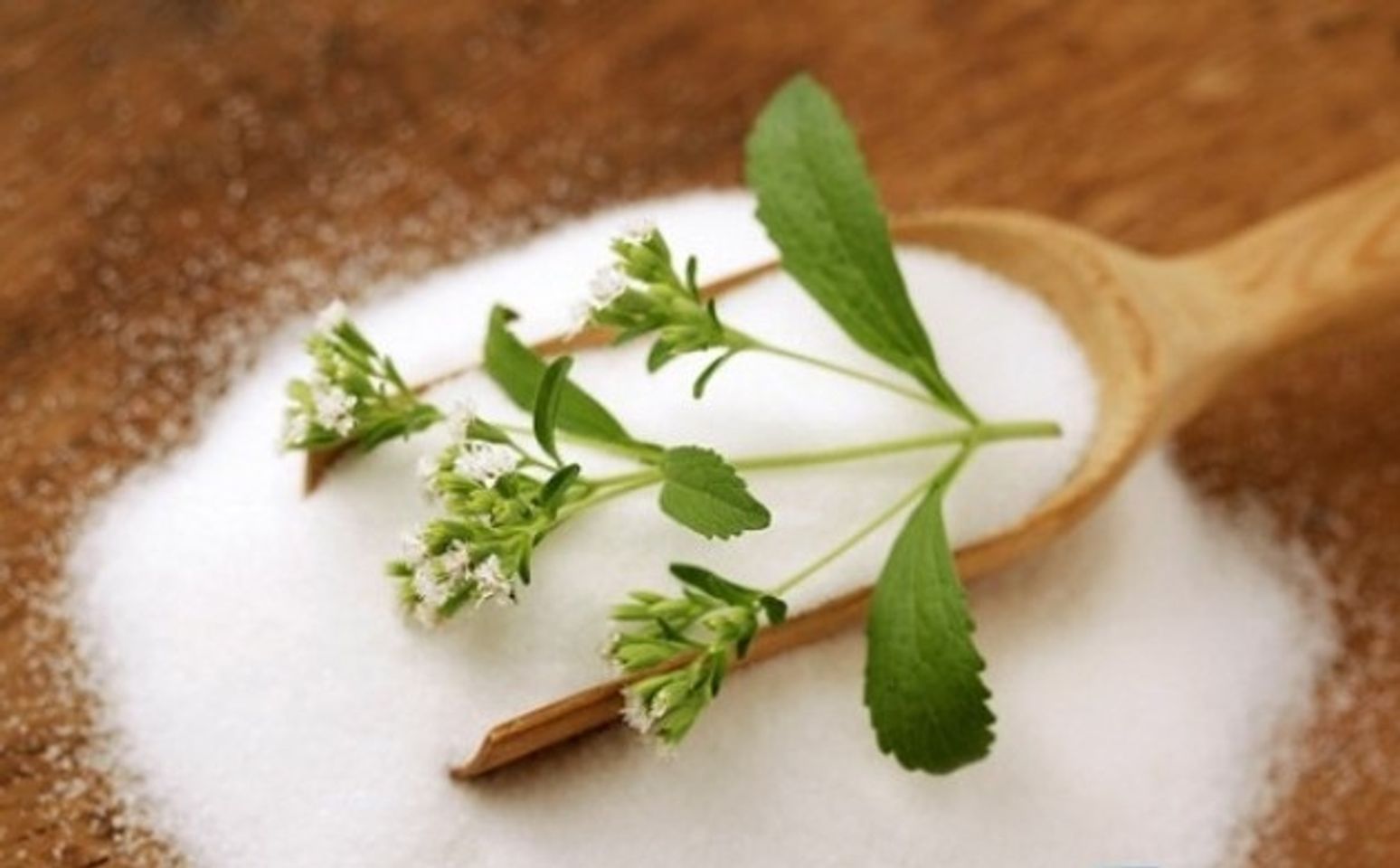 Đường ăn kiêng cỏ ngọt Hermesetas Stevia có thể sử dụng thay thế đường từ mía