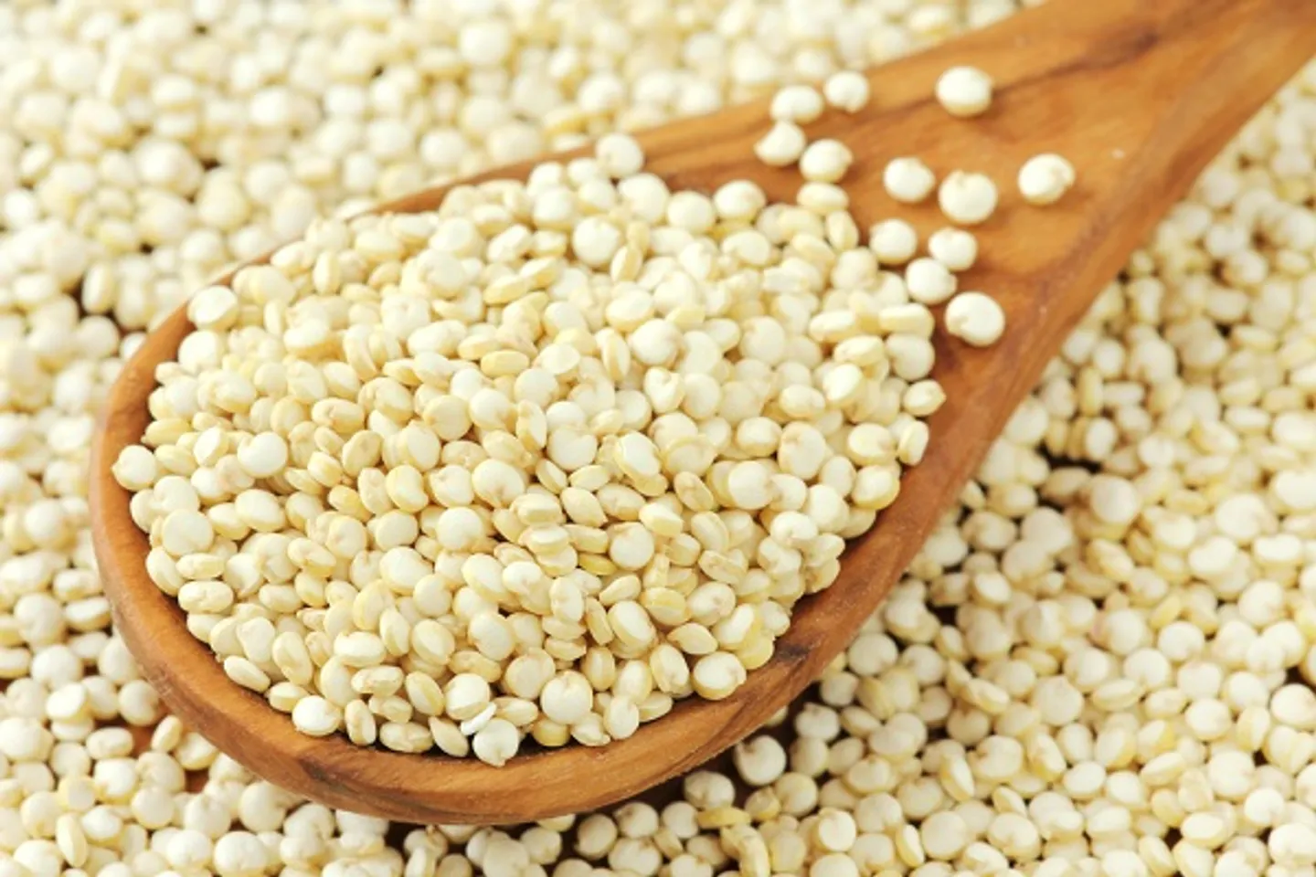 Hạt Quinoa phù hợp với mọi lứa tuổi, người ăn chay, người giảm cân
