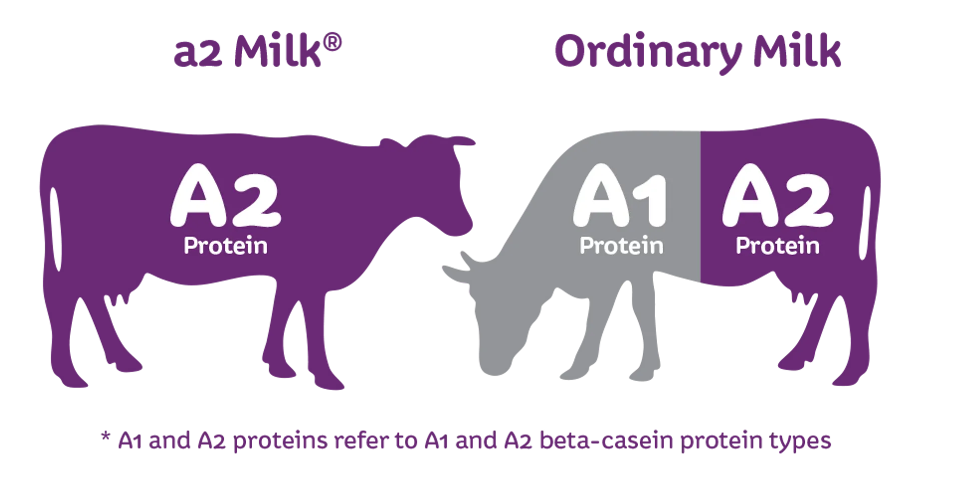 Sữa A2 tách kem là dòng sữa bổ sung đầy đủ chất dinh dưỡng cho trẻ mà chỉ chứa Protein A2