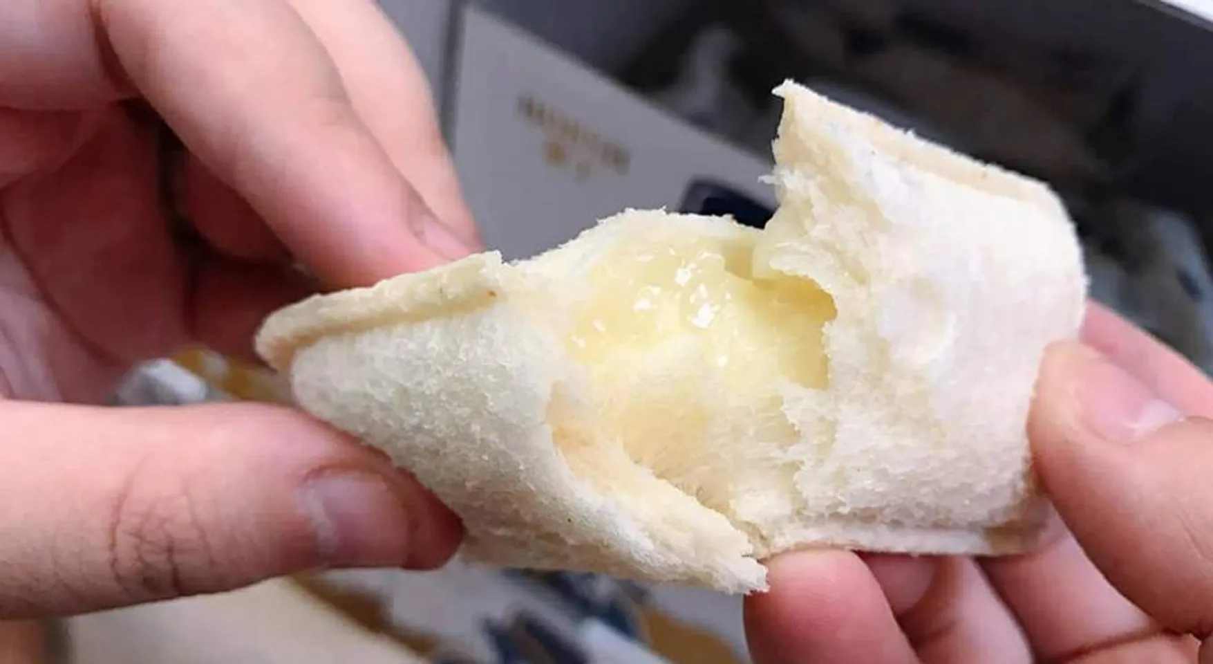 Bánh sanwich sữa chua Mini pocket Đài Loan thùng 2kg 1