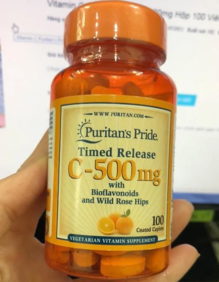 Vitamin C 500mg Puritan’s Pride with Bioflavonoids & Rose Hips
