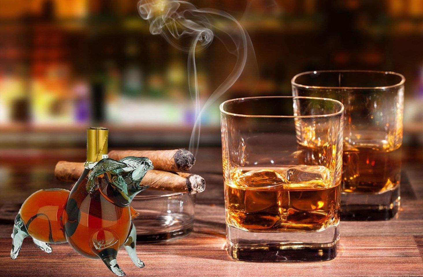 Rượu con heo Tết Kỷ Hợi - Xu hướng chọn qu&agrave; biếu Tết 2019 4