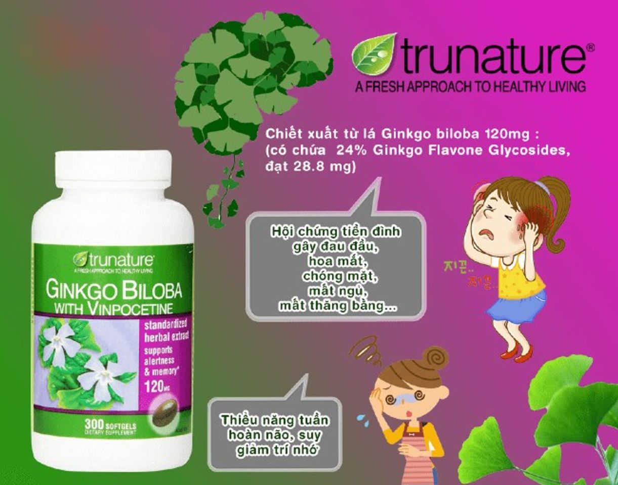 [Review] Ginkgo biloba 120mg - Giải pháp cải thiện trí nhớ hiệu quả 