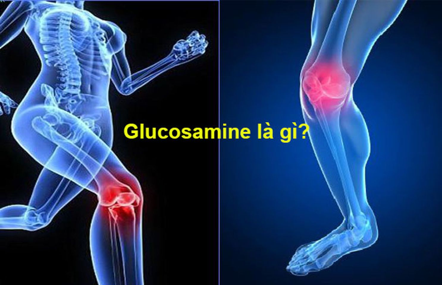 Glucosamine l&agrave; g&igrave;