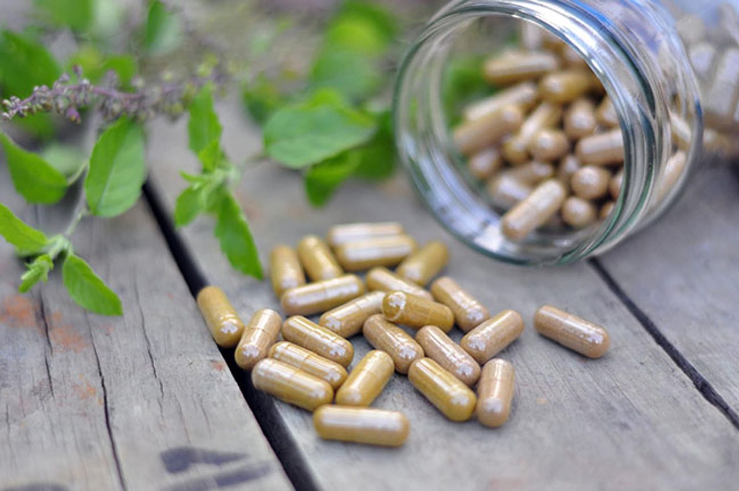 Liều d&ugrave;ng Glucosamine