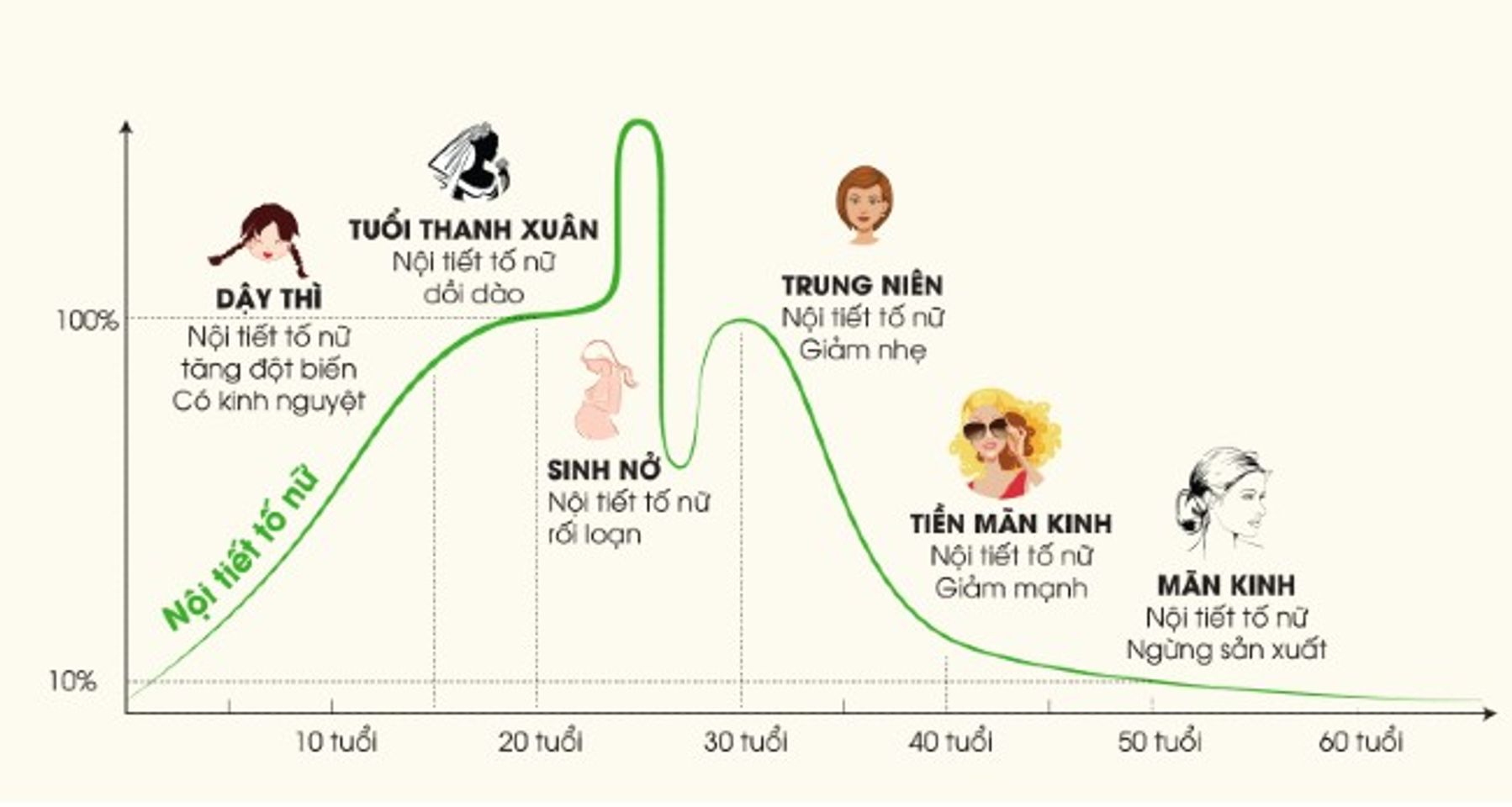 Nội tiết tố ảnh hưởng đến qu&aacute; tr&igrave;nh dụng t&oacute;c