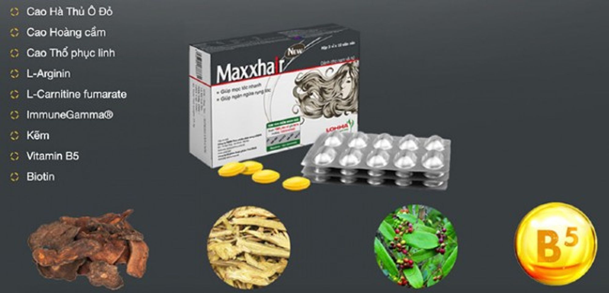 Th&agrave;nh phần ch&iacute;nh của Maxxhair