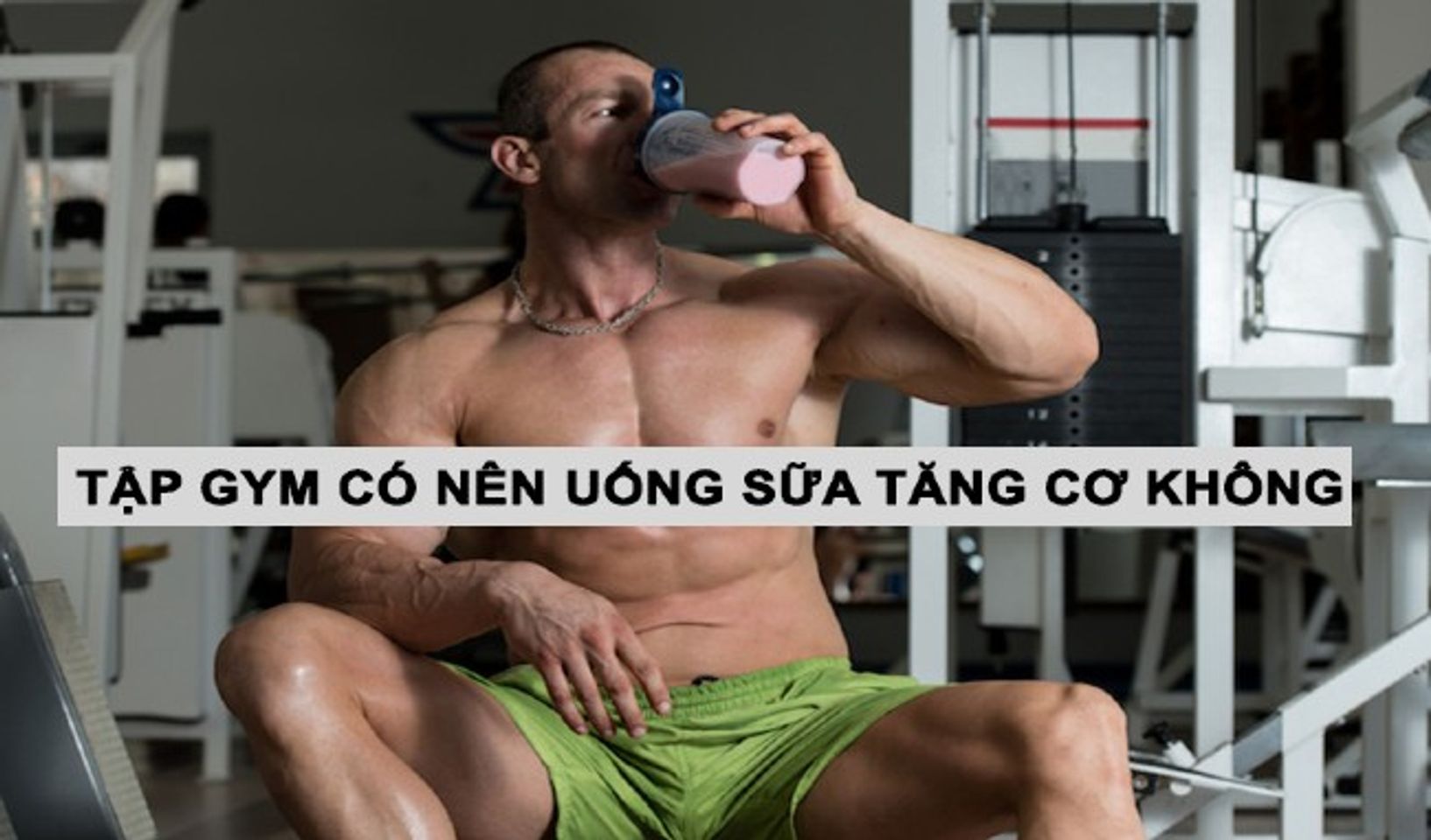 Các gymer đã ai dùng Whey Gold Standard On chưa? Có nên mua không ?