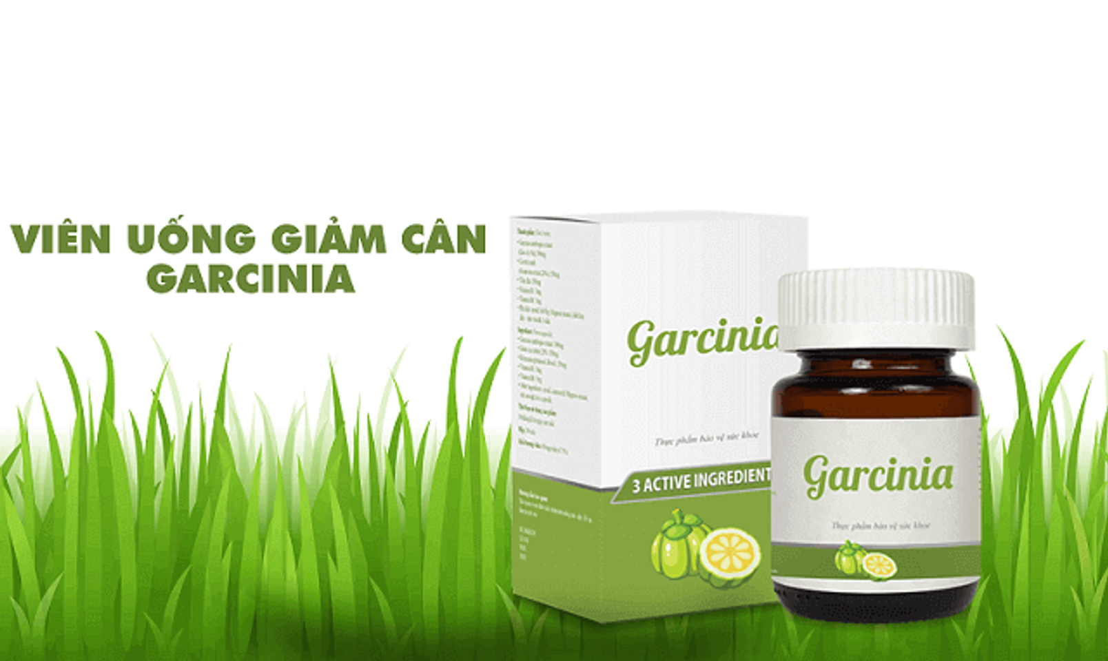 Viên uống giảm cân Garcinia thành phần thiên nhiên
