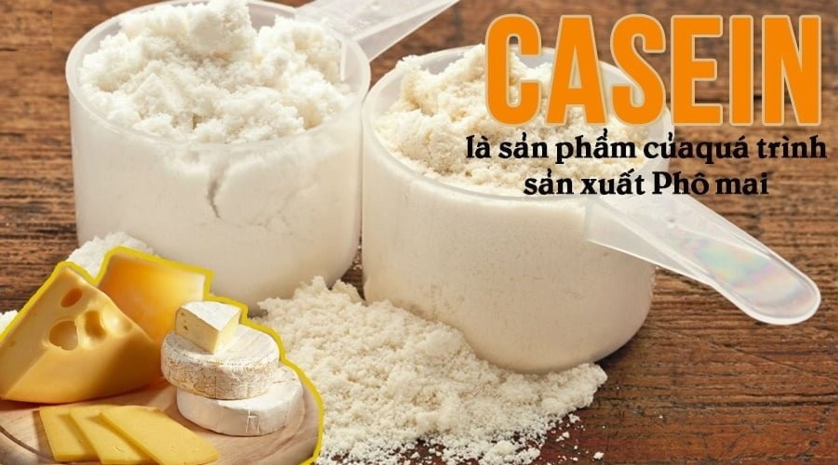 Casein l&agrave; g&igrave;