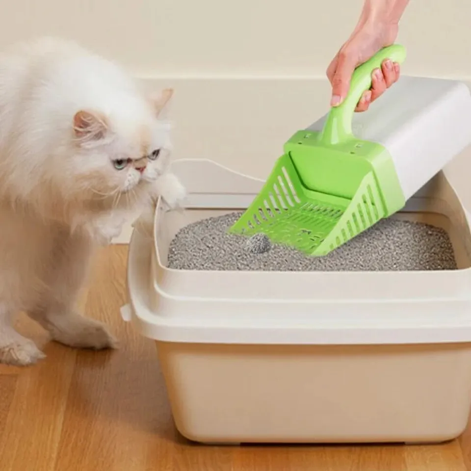 Sử dụng cát vệ sinh cho mèo đúng cách 