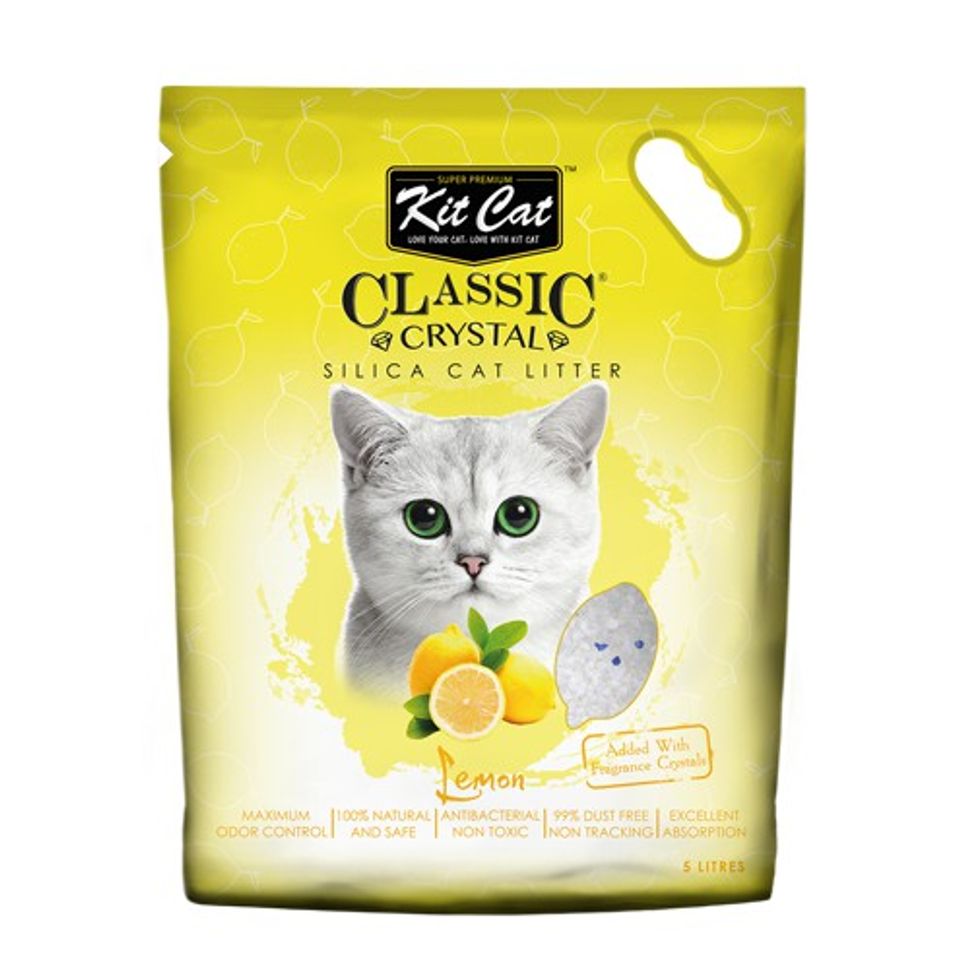 Cát thủy tinh vệ sinh Kitcat cho mèo hương chanh - màu vàng