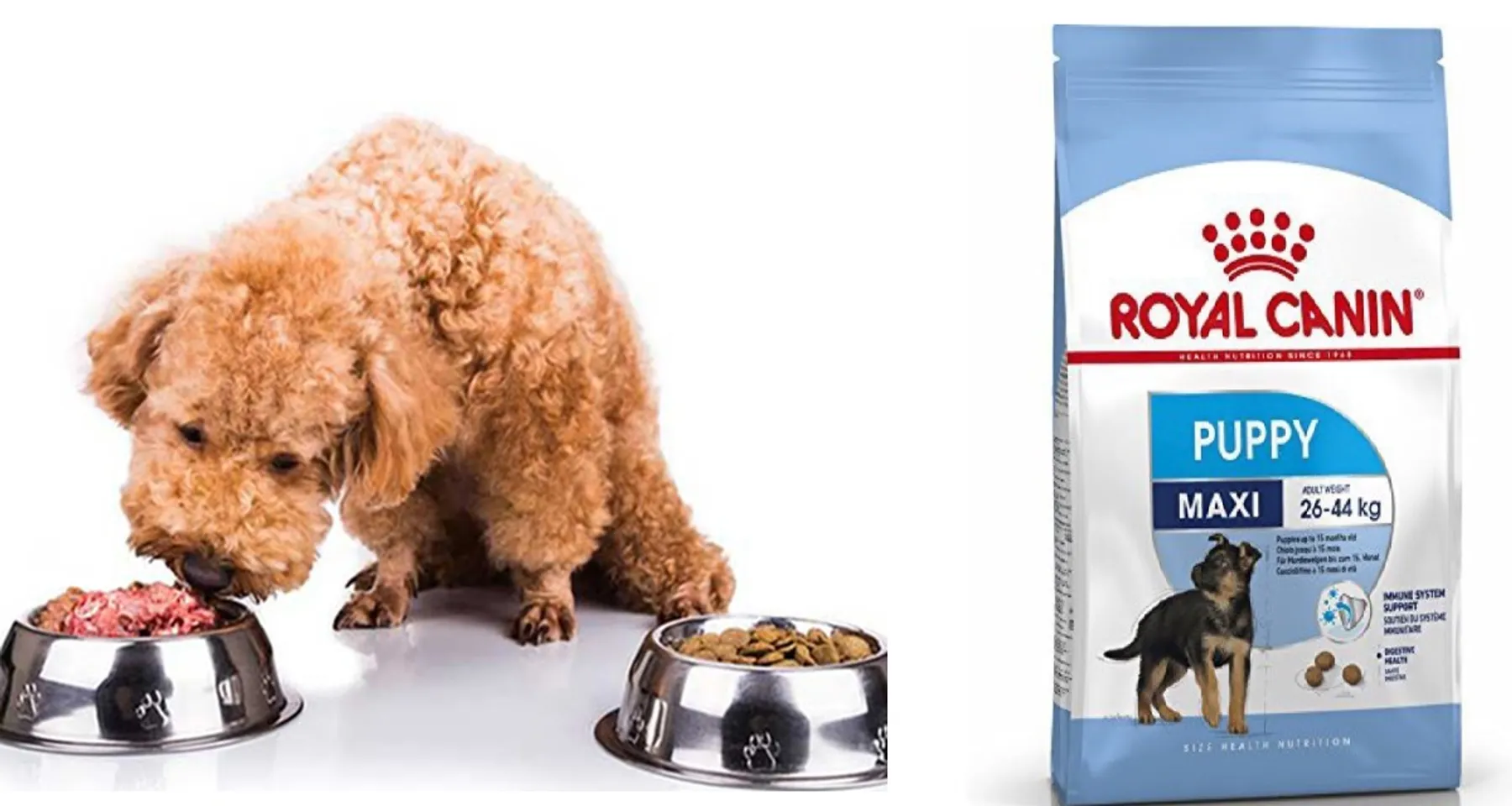 Thức ăn hạt cho chó Royal Canin Maxi Puppy hỗ trợ tăng trưởng cân đối, đều đặn