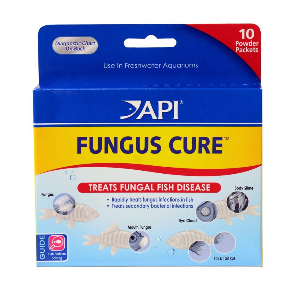 Bột API Fungus Cure