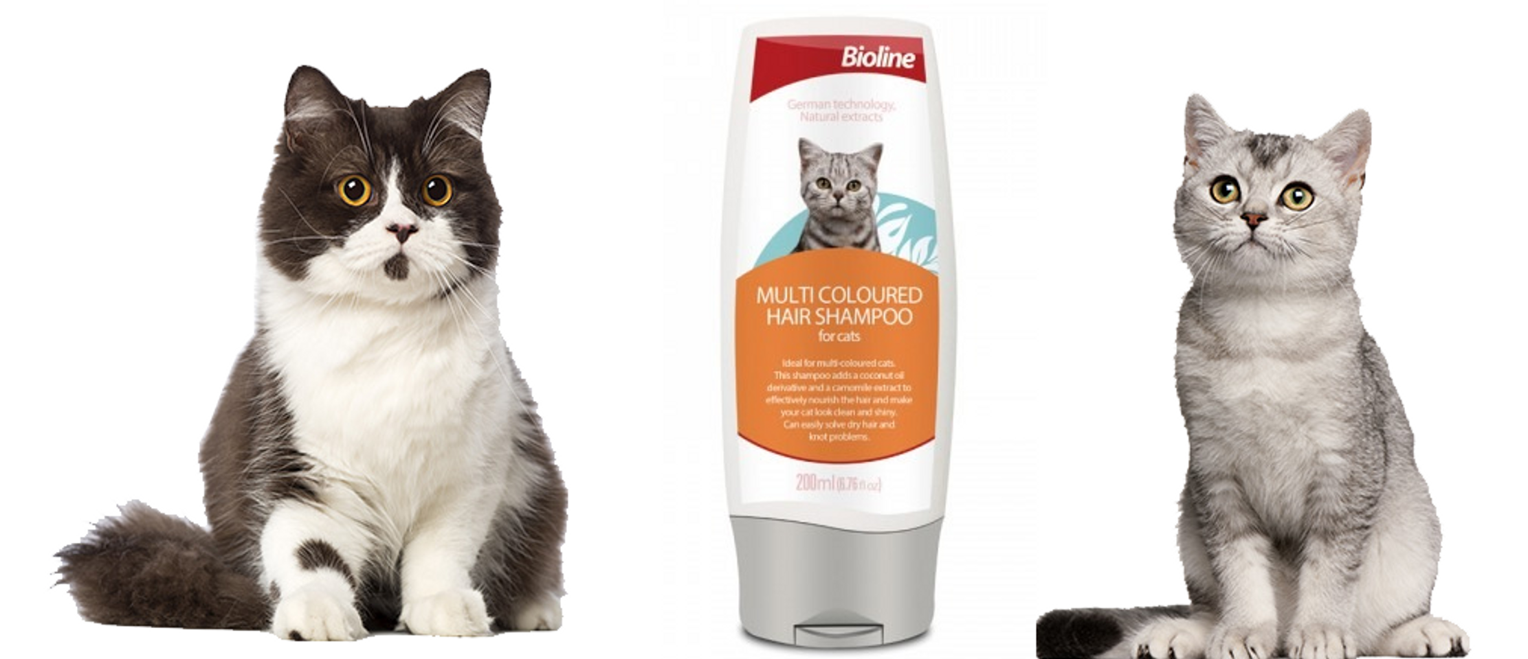 Bioline Multi coloured hair shampoo chăm sóc cho mèo lông màu