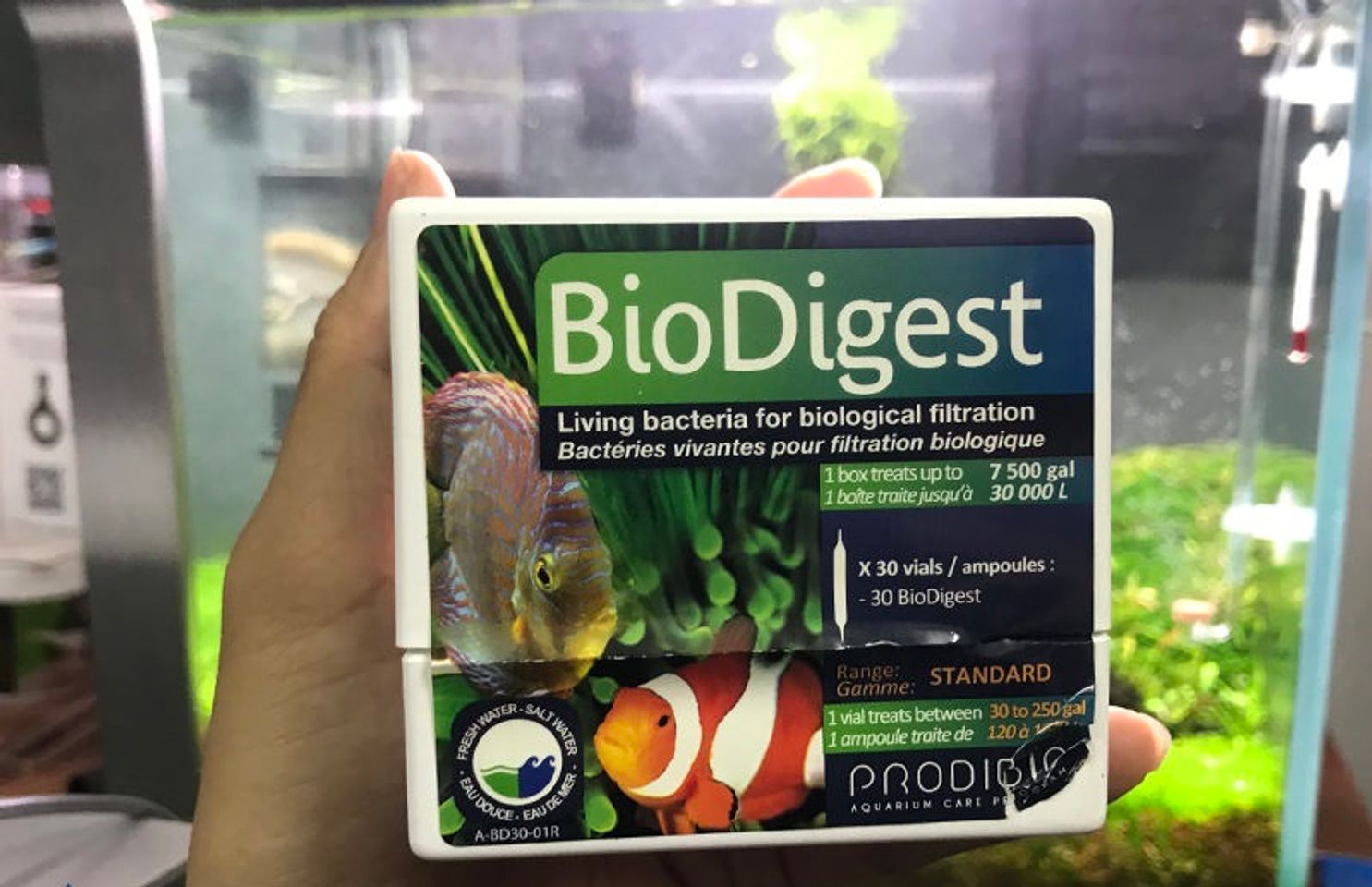 Vi sinh Prodibio BioDigest hỗ trợ lọc nước bể cá