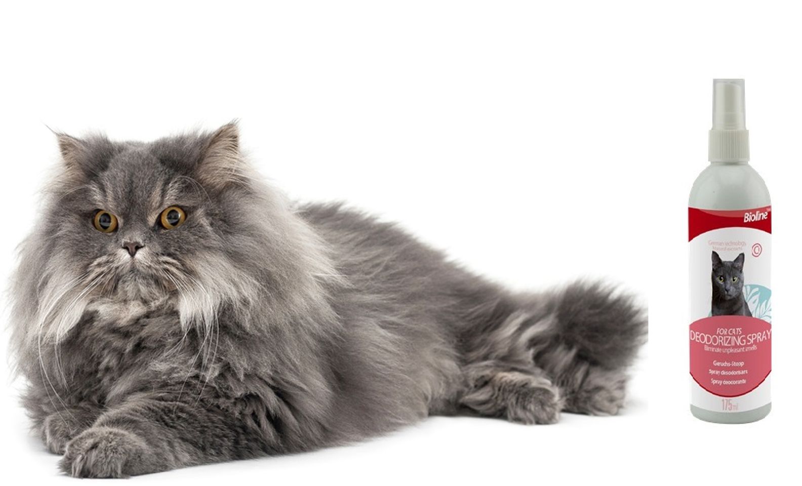 Deodorant spray for cat khử mùi không gian sống cho mèo