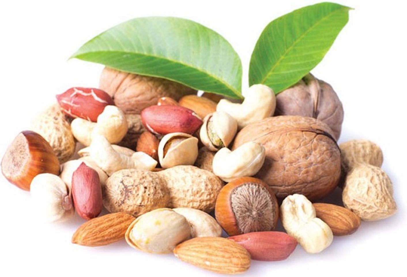 quả hạch l&agrave; thực phẩm tốt cho gan