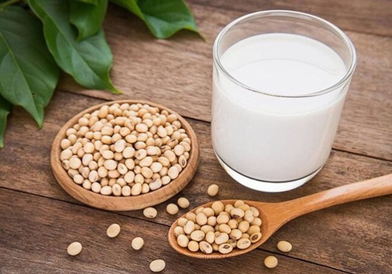Đau xương khớp kh&ocirc;ng n&ecirc;n uống đậu n&agrave;nh