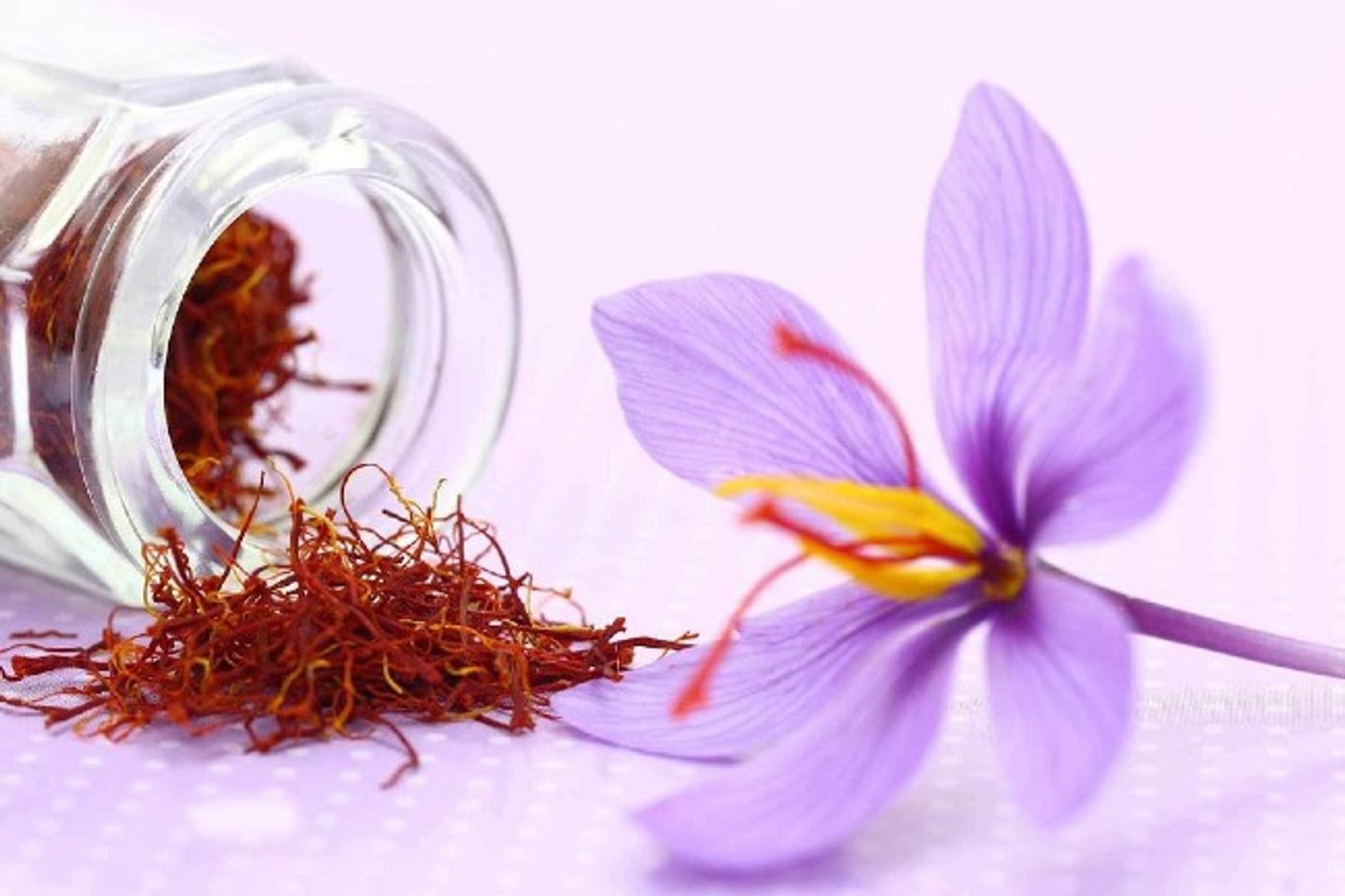 Nhụy Hoa Nghệ T&acirc;y l&agrave; g&igrave;?