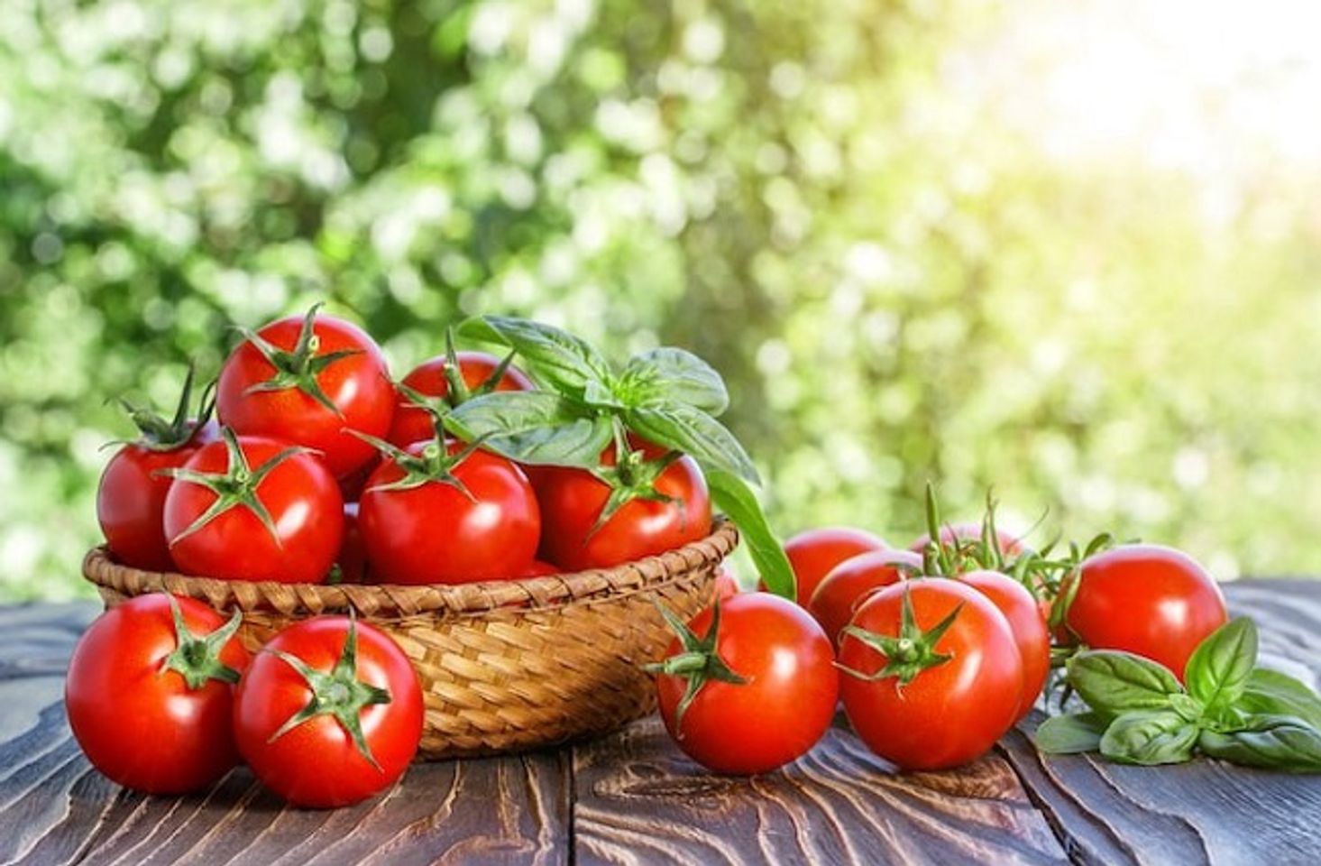 C&agrave; chua gi&uacute;p tăng cường sinh l&yacute; nam