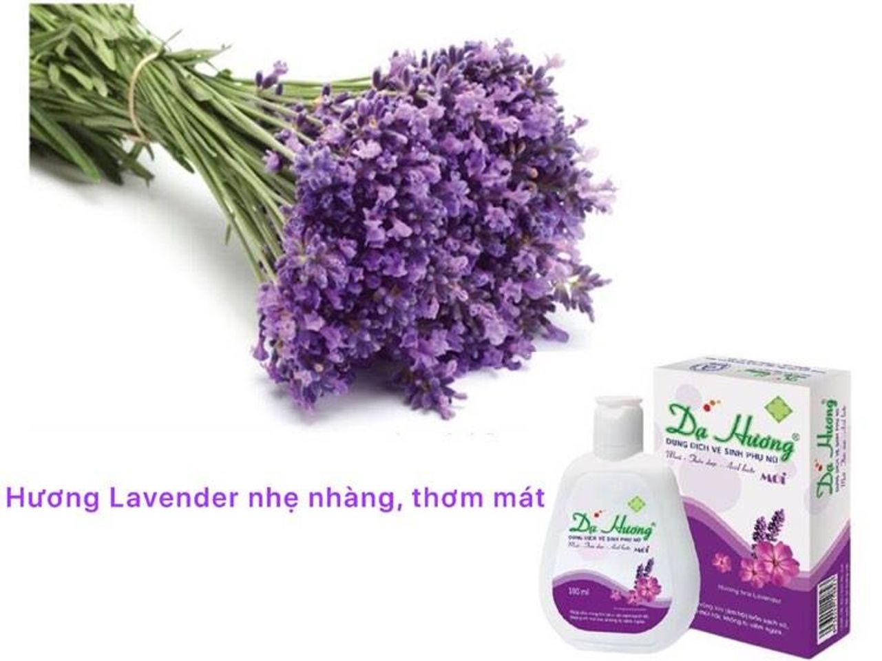 Dung dịch vệ sinh phụ nữ Dạ Hương Lavender làm sạch dịu nhẹ