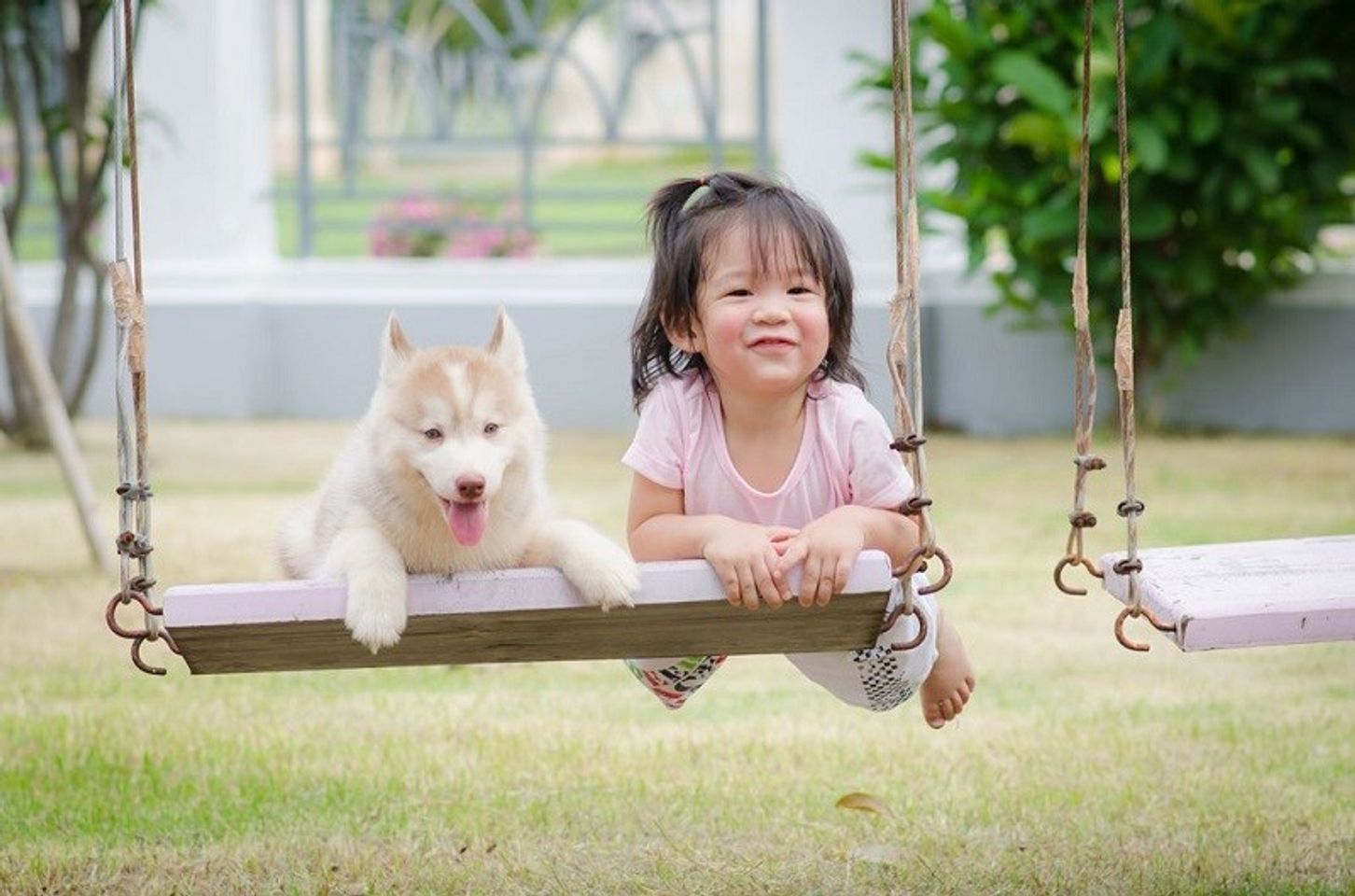 Hạn chế hoặc gi&aacute;m s&aacute;t trẻ em khi chơi với vật nu&ocirc;i