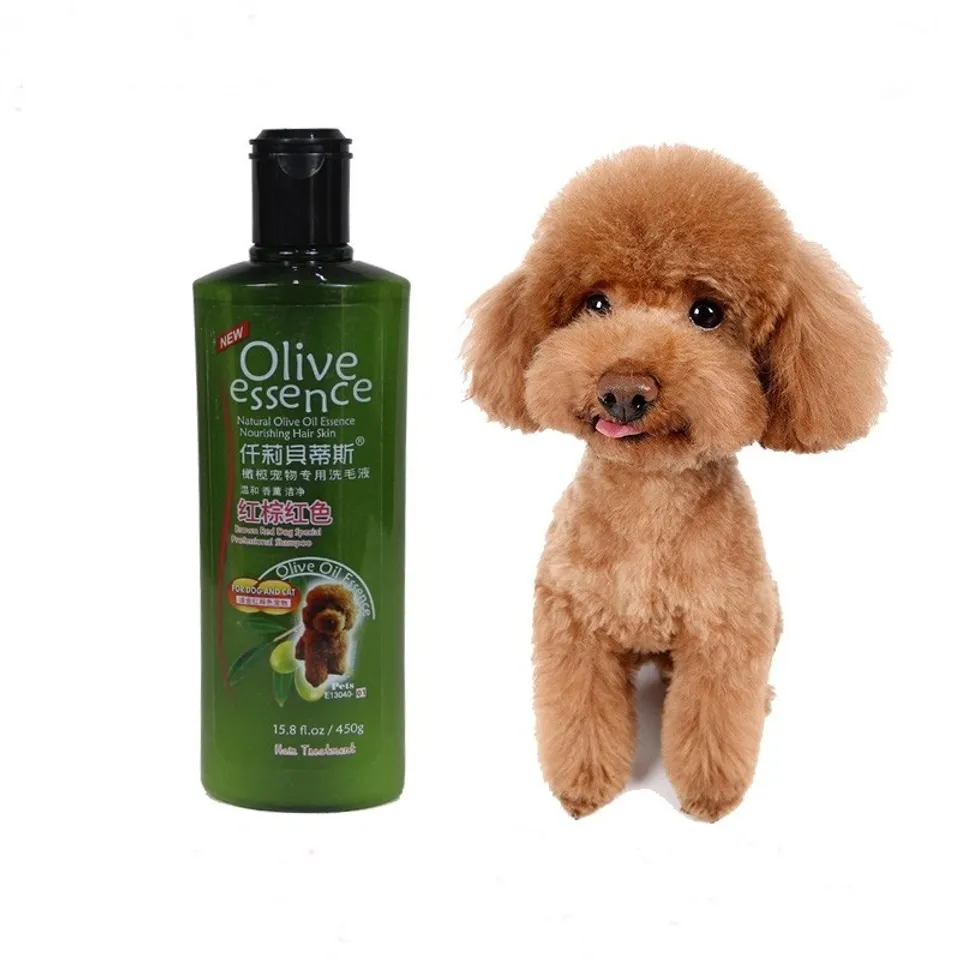 Sữa tắm Olive giúp nâng cao lông mang đến thú cưng