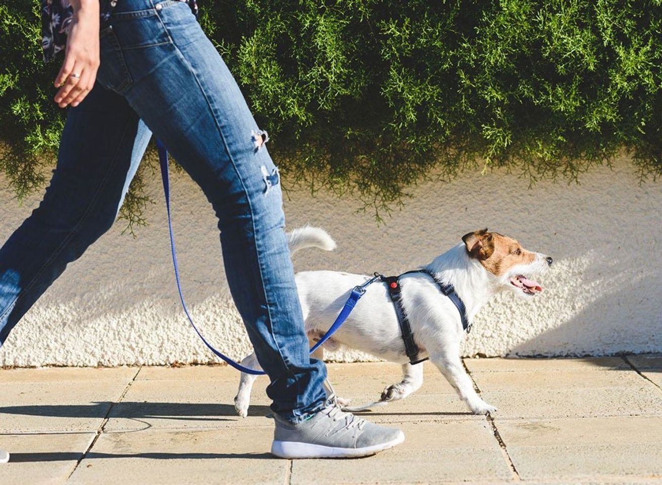Đi dạo hay c&aacute;c hoạt động ngo&agrave;i trời gi&uacute;p t&acirc;m trạng thoải m&aacute;i hơn