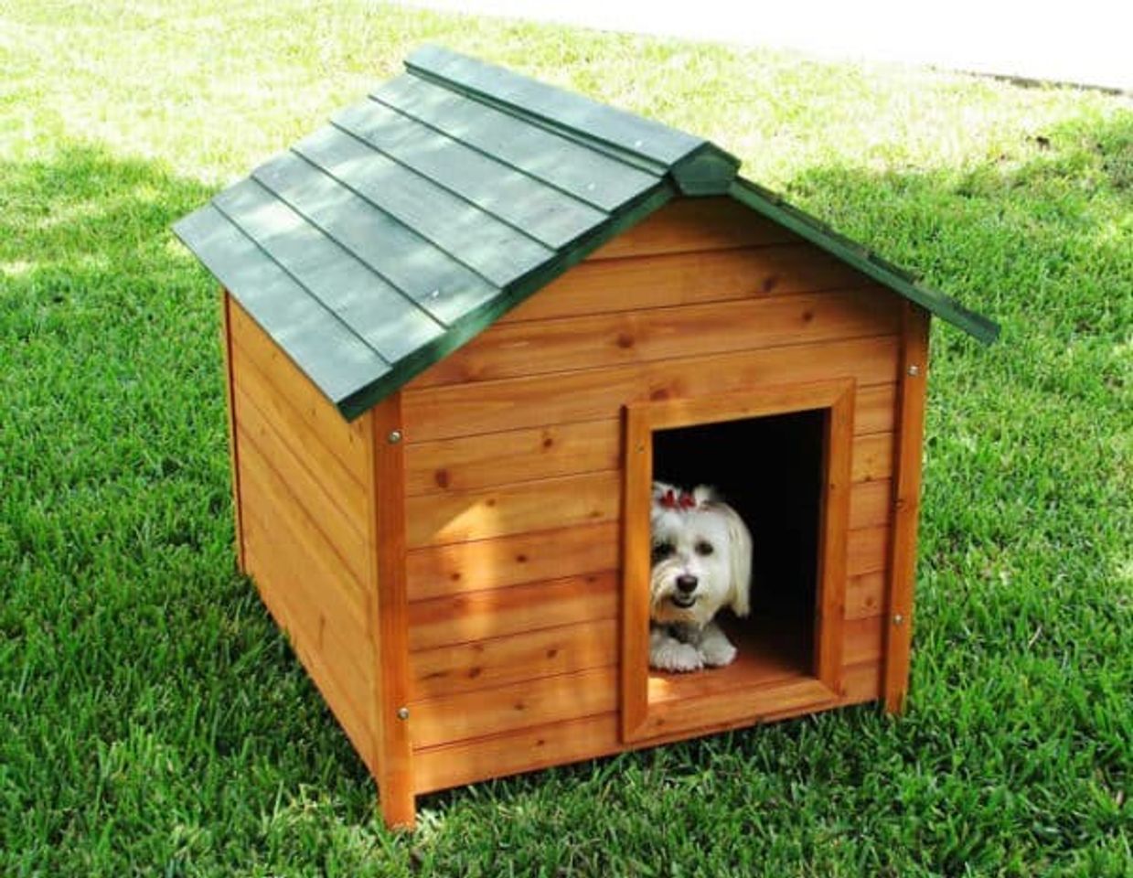 Chuồng ch&oacute; Poodle c&oacute; nhiều loại cho bạn lựa chọn