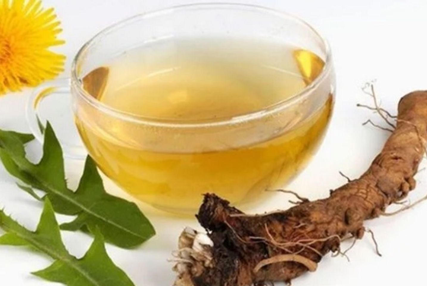 Uống tr&agrave; rễ bồ c&ocirc;ng anh giảm mỡ bụng