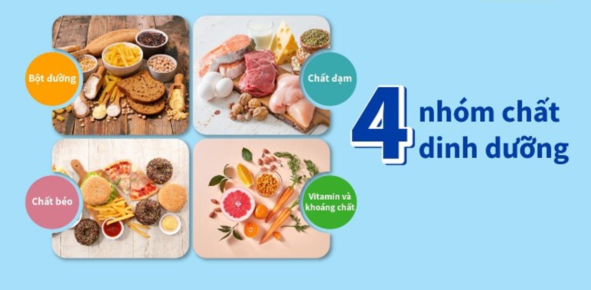 Cần thiết lập một chế độ ăn uống c&acirc;n bằng