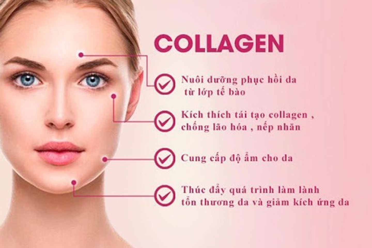 Collagen mang tới nhiều ưu &dstrok;iểm tuyệt vời đối với l&agrave;n da, sắc đẹp v&agrave; sức khỏe