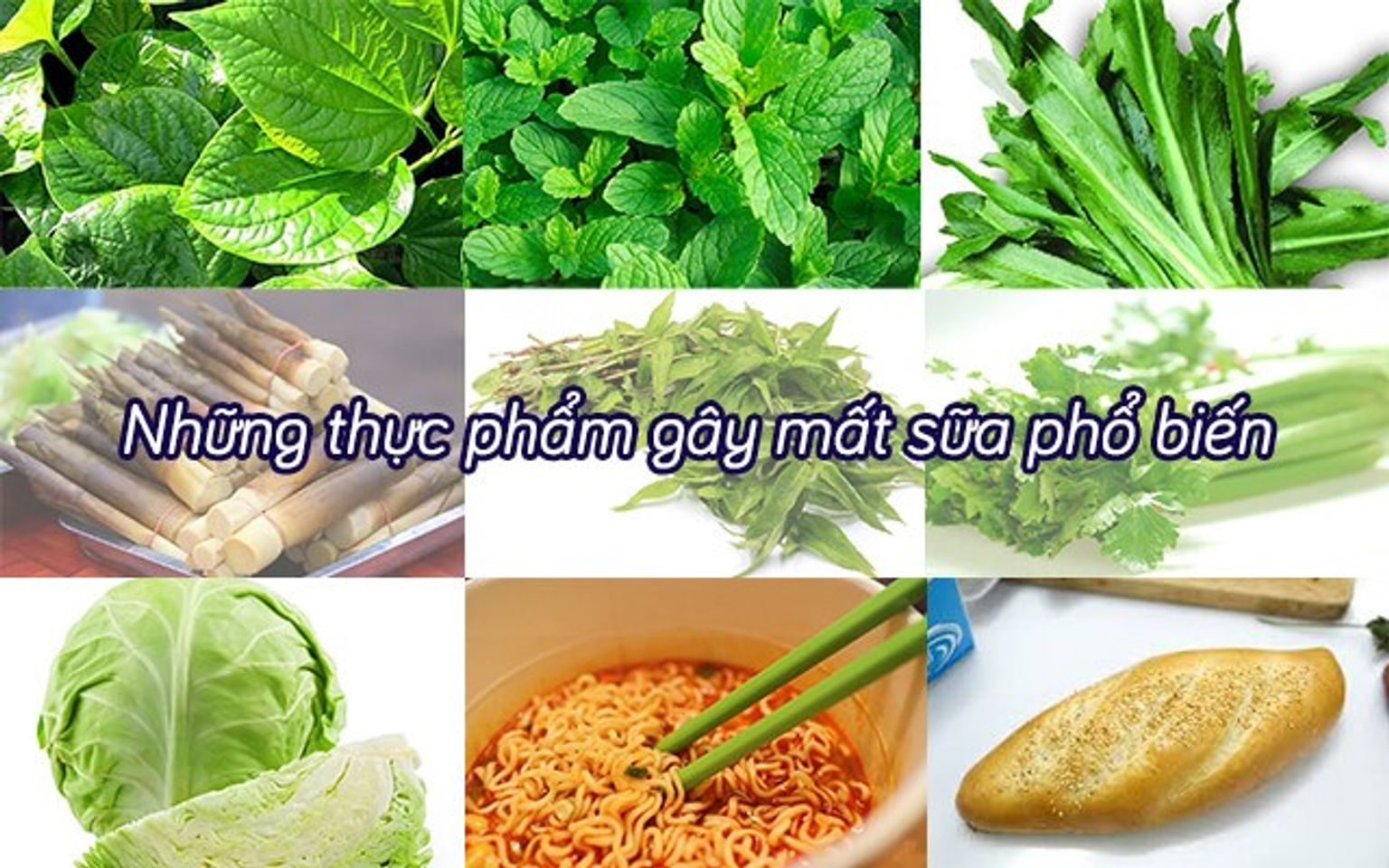 Tr&aacute;nh xa những thực phẩm c&oacute; thể l&agrave;m mất sữa mẹ