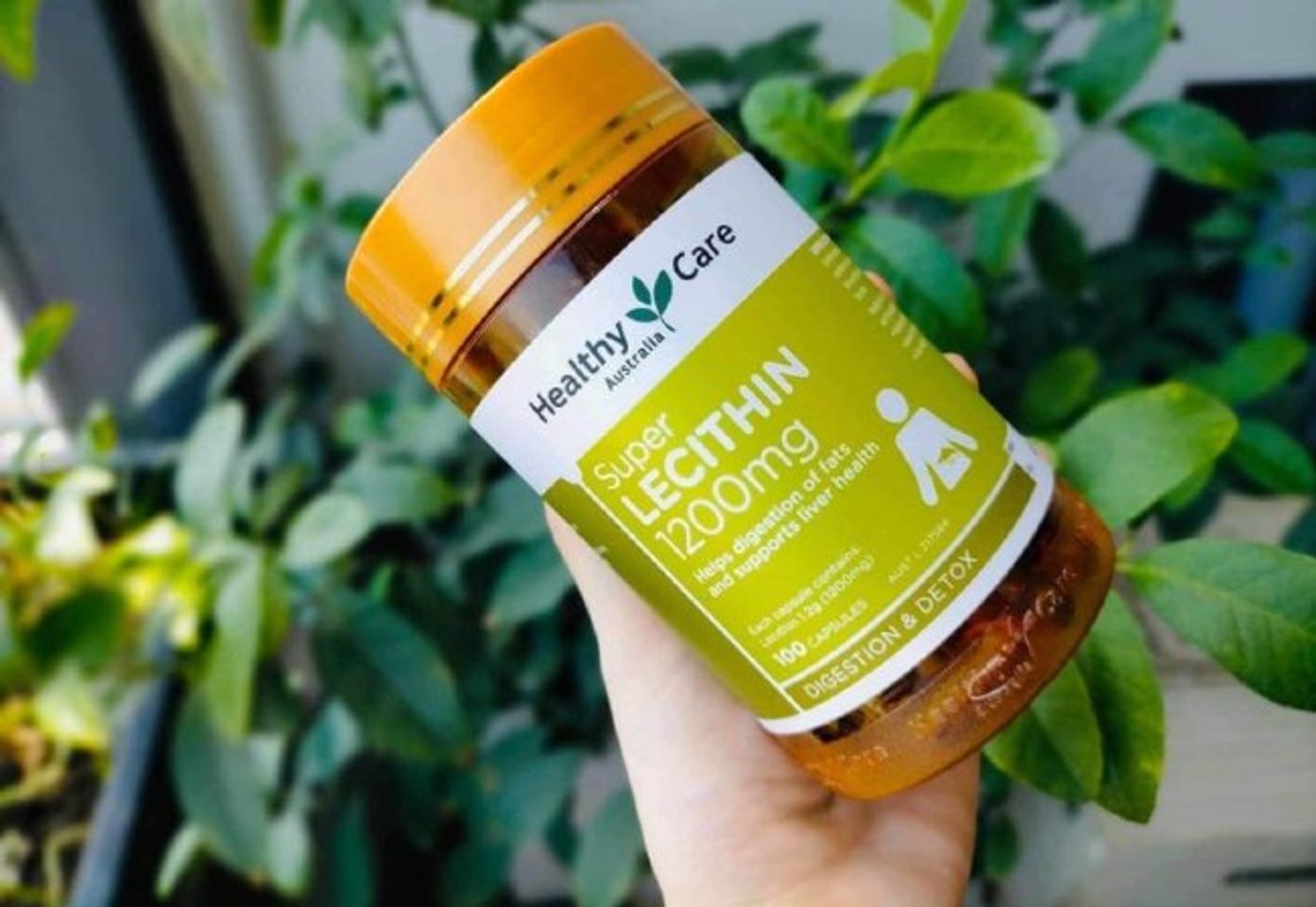 Vi&ecirc;n uống mầm đậu n&agrave;nh của &Uacute;c Healthy Care Super Lecithin