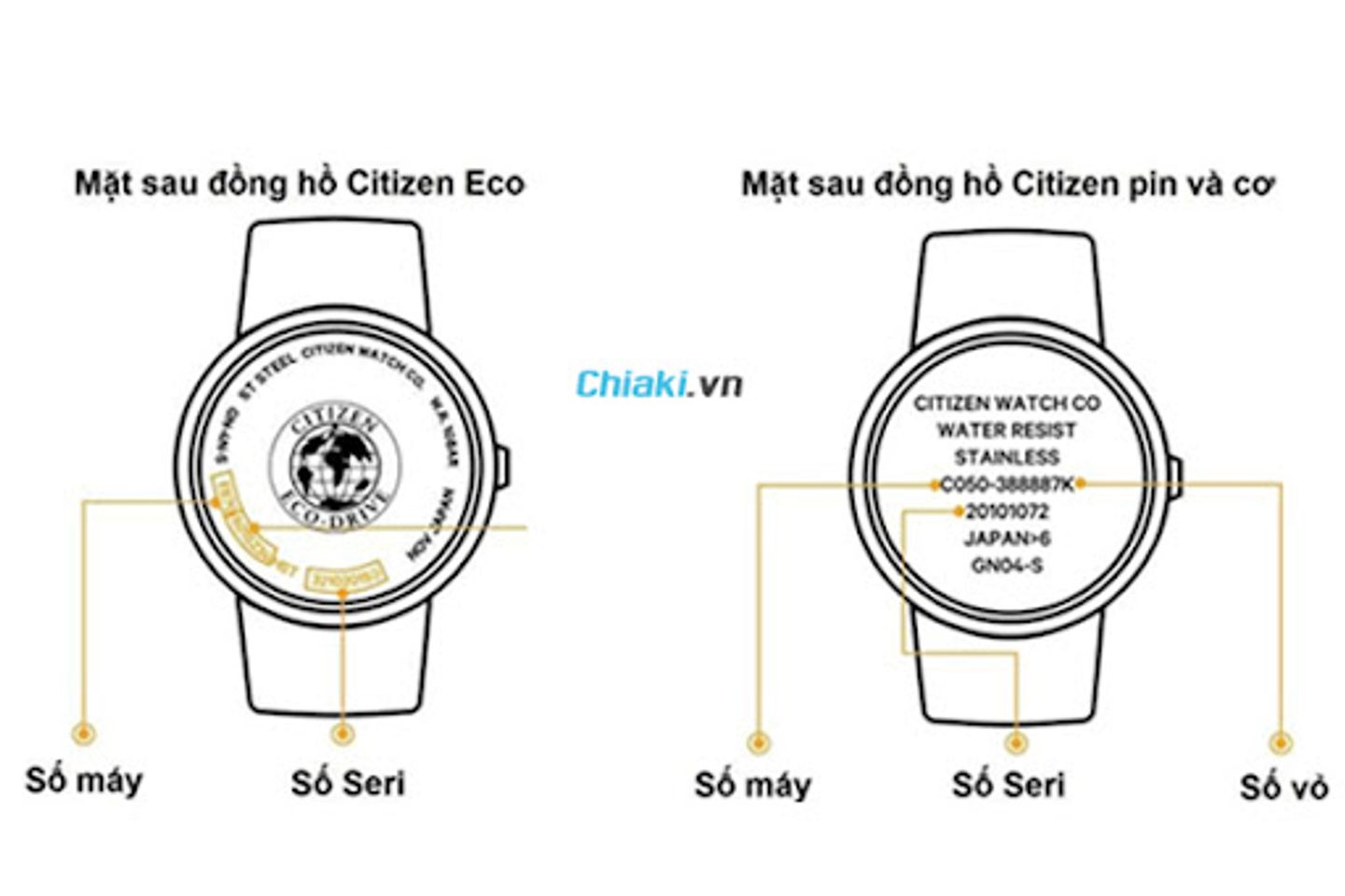 Check seri đồng hồ của citizen ch&iacute;nh h&atilde;ng