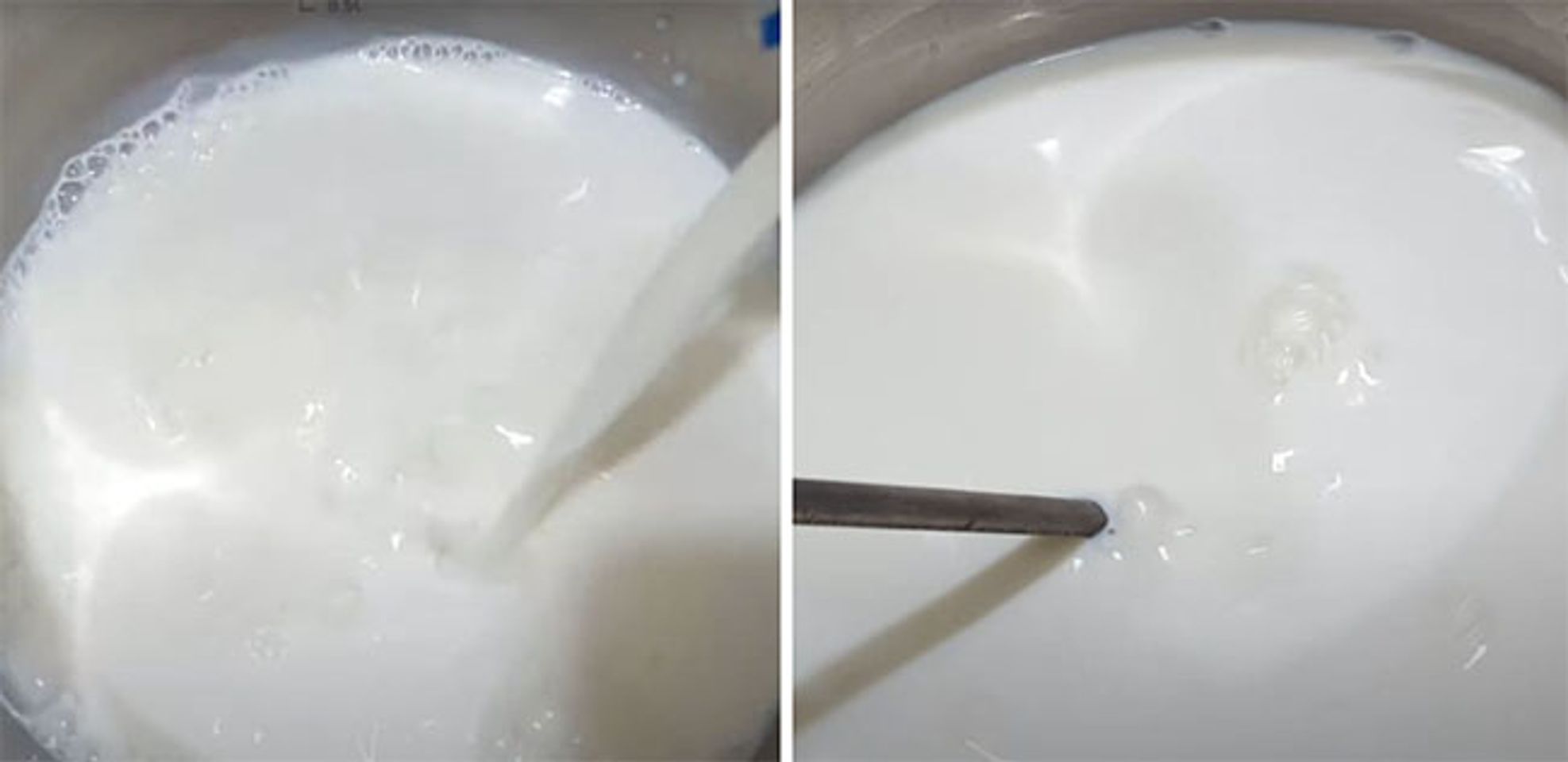 C&aacute;ch l&agrave;m sữa chua kh&ocirc;ng đường - Bước 1