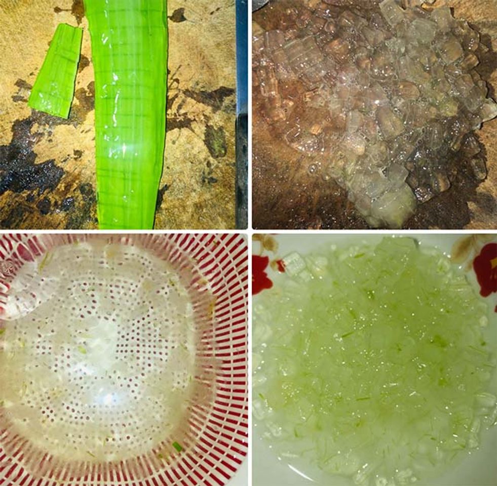C&aacute;ch l&agrave;m sữa chua nha đam - bước 1