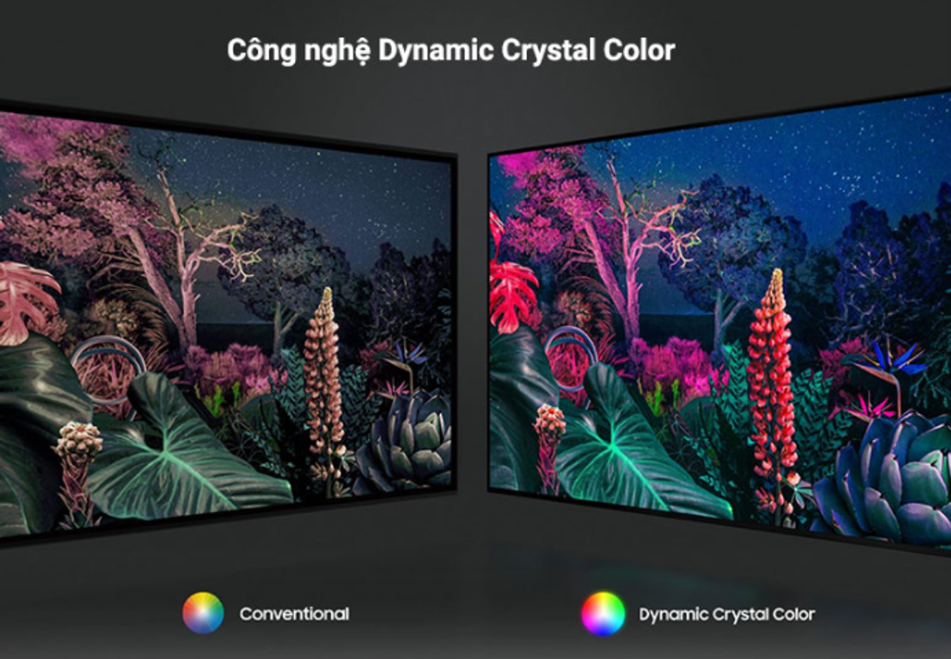 Công Nghệ Dynamic Crystal Color tái hiện màu sắc chân thực